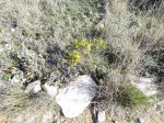 Click to enlarge Hiking trail at Diablo East