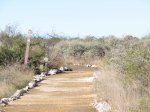 Click to enlarge Hiking trail at Diablo East