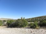 Click to enlarge Guadalupe Mountains National Park, Texas, United States. McKittrick Canyon Trail