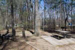 Click to enlarge Caddo Lake State Park, Texas, United States.