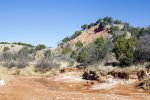 Click to enlarge Caprock Canyons State Park, Texas, United States.