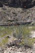 Click to enlarge Big Bend Ranch State Park, Texas, United States.