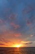 Click to enlarge Andy Bowie County Park, Texas, United States. Andy Bowie County Park