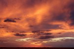 Click to enlarge Andy Bowie County Park, Texas, United States. Andy Bowie County Park