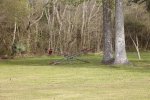 Double Bayou County Park, Texas, United States. 