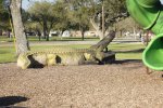 Click to enlarge Fort Anahuac County Park, Texas, United States.
