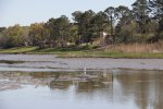 Fort Anahuac County Park photo 3