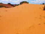 Click to enlarge Coral Pink Sand Dunes State Park, Utah, United States.