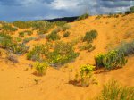 Click to enlarge Coral Pink Sand Dunes State Park, Utah, United States.
