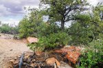 Click to enlarge Escalante Petrified Forest State Park, Utah, United States.