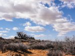 Click to enlarge Arches National Park, Utah, United States. Near Fiery Furnace lookout
