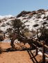 Click to enlarge Arches National Park, Utah, United States. Path to Landscape Arch