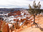 Click to enlarge Bryce Canyon National Park, Utah, United States.