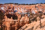 Click to enlarge Bryce Canyon National Park, Utah, United States. Navajo Loop Trail