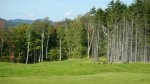 Coolidge State Park, Vermont, United States. View from Pavilion in Picnic Area