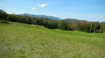 Coolidge State Park, Vermont, United States. View from Pavilion in Picnic Area