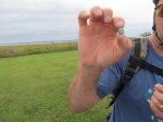 Belle Isle State Park, Virginia, United States. Lots of Geocaching...from large caches to these nano-micros!