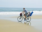 False Cape State Park, Virginia, United States. 