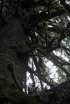 Click to enlarge Cape Disappointment State Park, Washington, United States.