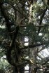 Click to enlarge Cape Disappointment State Park, Washington, United States.