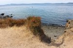 Click to enlarge Deception Pass State Park, Washington, United States.