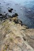 Click to enlarge Deception Pass State Park, Washington, United States.