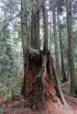 Click to enlarge Deception Pass State Park, Washington, United States.