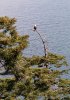 Click to enlarge Deception Pass State Park, Washington, United States.