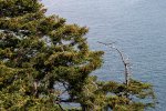 Click to enlarge Deception Pass State Park, Washington, United States.
