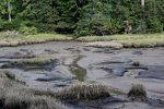 Bruceport County Park, Washington, United States. 