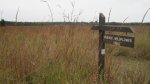 Click to enlarge Lake Wissota State Park, Wisconsin, United States. Prairie Wildflower Trail.