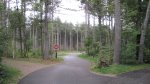 Click to enlarge Lake Wissota State Park, Wisconsin, United States. Tall pine trees in the campgrounds.