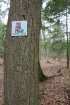 Click to enlarge Potawatomi State Park, Wisconsin, United States. Access to the Tower Trail.