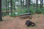 Click to enlarge Hartman Creek State Park, Wisconsin, United States. The pet picnic area.