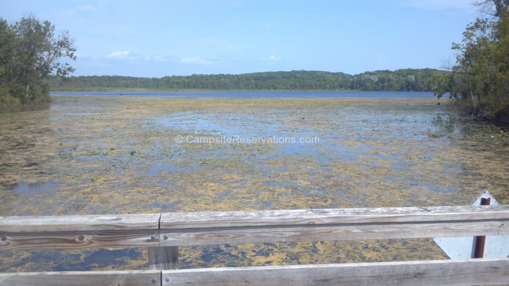Kettle Moraine State Forest Northern - Kettle Moraine State Forest Northern Unit CID7582