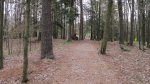 Kohler-Andrae State Park, Wisconsin, United States. A trail leading through the campground.