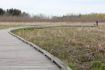 Kohler-Andrae State Park, Wisconsin, United States. Black River Marsh boardwalk.