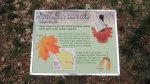 Kohler-Andrae State Park, Wisconsin, United States. Sign talking about Wisconsin
