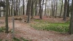 Kohler-Andrae State Park, Wisconsin, United States. Trail in the campground area.