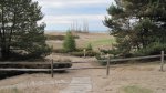 Click to enlarge Point Beach State Forest, Wisconsin, United States. Beach area near the Rawley Point Lighthouse.
