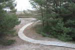 Click to enlarge Point Beach State Forest, Wisconsin, United States. A boardwalk that leads from the lighthouse to the beach.