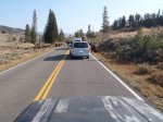 Click to enlarge Yellowstone National Park, Wyoming, United States. Bison on the road.