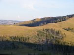 Click to enlarge Yellowstone National Park, Wyoming, United States.