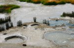 Yellowstone National Park, Wyoming, United States. Little paddles of boiling water at Mud Volcano