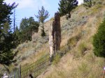 Click to enlarge Yellowstone National Park, Wyoming, United States. Petrified Tree