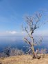 Yellowstone National Park, Wyoming, United States. Yellowstone Lake