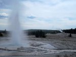 Yellowstone National Park, Wyoming, United States. Yellowstone National Park