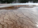 Yellowstone National Park, Wyoming, United States. Yellowstone National Park