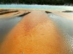 Yellowstone National Park, Wyoming, United States. Yellowstone National Park