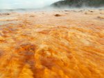 Yellowstone National Park, Wyoming, United States. Yellowstone National Park